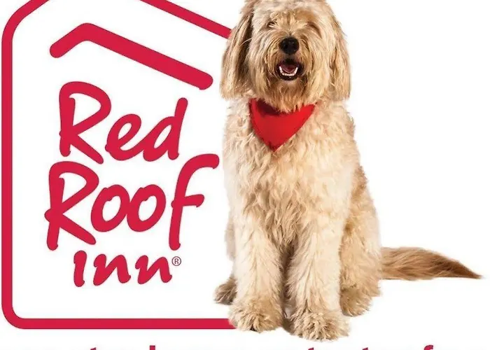 Red Roof Plus+ - Phoenix Airport 3* Tempe
